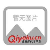 OL背板,掛件,服裝展示道具,展示架